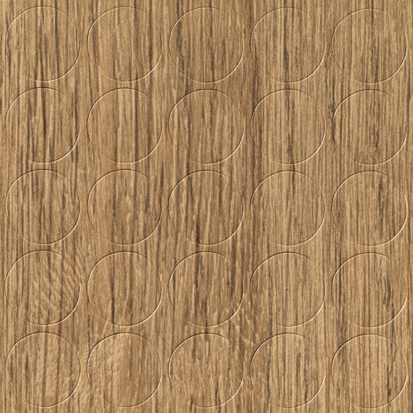 SC COAST EVOKE OAK 744 (H1344)
