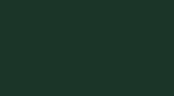 Repair Soft Wax Fir Green (U699)