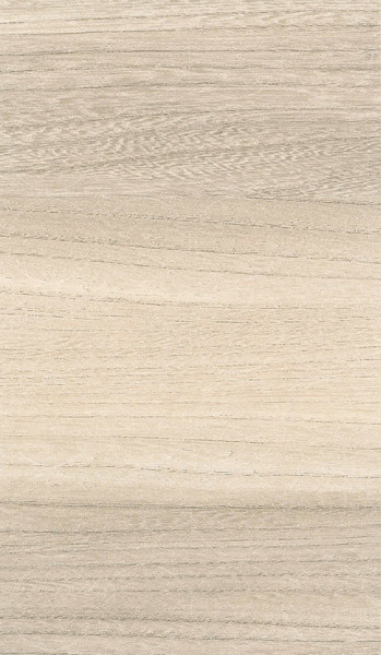 SC ELM BARON 856