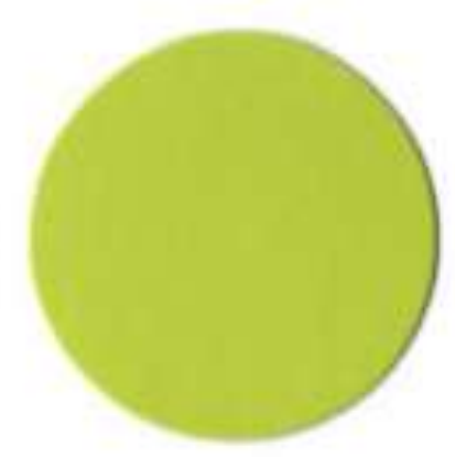SC LIME EGGER 067