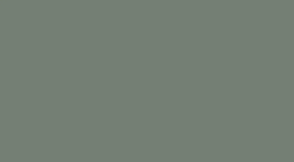 Edging REED GREEN ST9 22 X 0.8MM (U604)