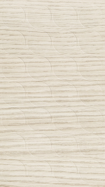 SC LECER 164