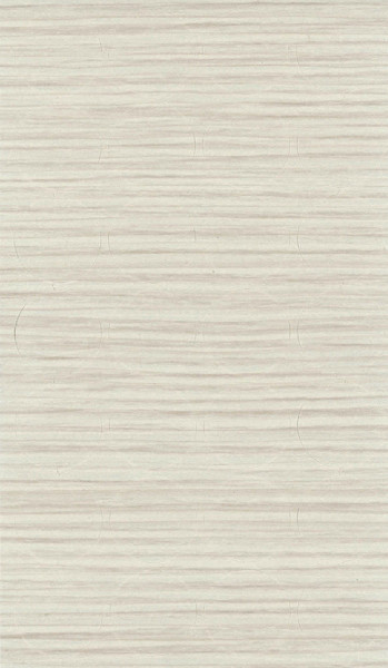 SC FINELINE CREAM 873 (H3450)