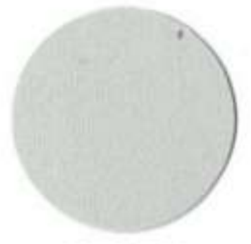 SC COOL GRAY 302 (U707, U7081)