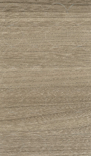SC ELM BARON TRUFEL 866