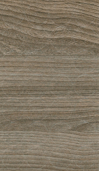 SC ELM OVID 862 (H1115)