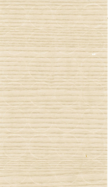 SC Ash Coimbra 971 (H1732)
