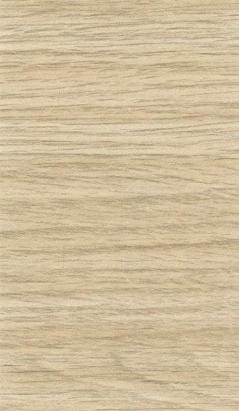 SC CHAMPAGNE FLEETWOOD 117 (H3451)