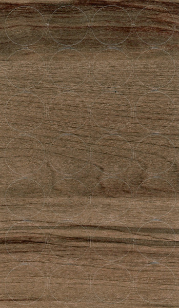 SC DARK BIRCH FATHERS 867 (H1151)