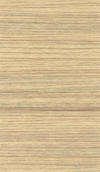 SC COCO BOLO 333