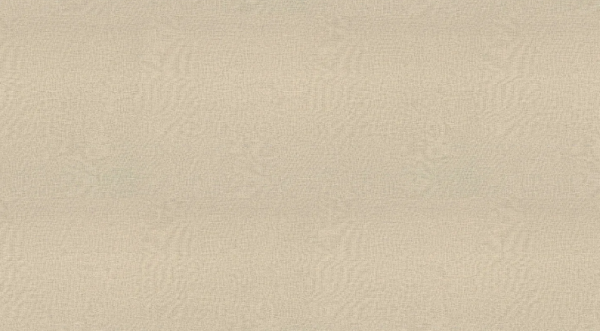 Edging BEIGE TEXTILE 22 X 1 (F416)
