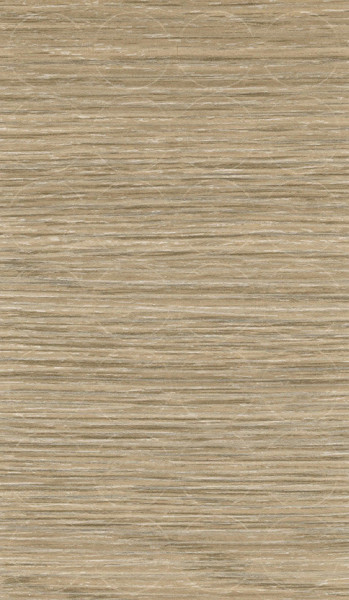 SC SAND ORLEANS OAK 376 (H1377)